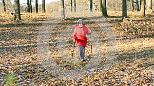 Older woman is engaged in Nordic walking park
