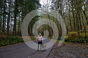 Older woman in 60`s walking a large dog down forested road photo