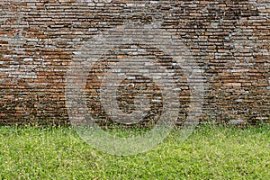 Olds brick wall texture background with grass.