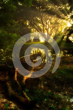 Olds fishing boat in the dark forest photo