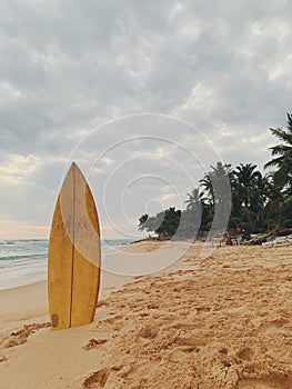 Oldschool Yellow Surfboard standing at the Sri Lanka sand beach Indian ocean view