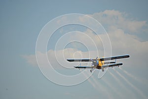 Oldtimer airplane flying against mosquitos 4 scene