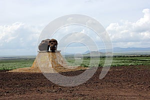 Tale of two Species monument photo