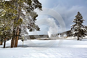 Ole Faithful geyser in Yellowstone in winter