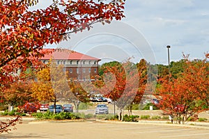 Ole Miss fall