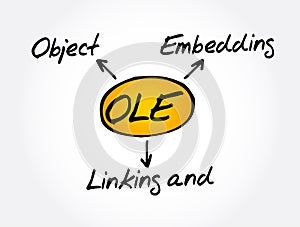 OLE - Object Linking and Embedding acronym concept