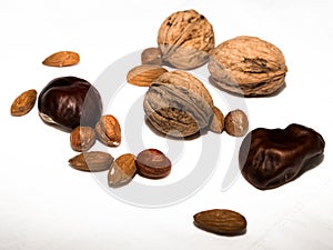 Oleaginous assortment