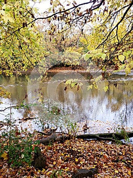 Olentangy River in Autumn, Columbus, Ohio photo