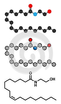 Oleoylethanolamide (OEA) endogenous peroxisome proliferator-activated receptor alpha (PPAR-ÃÂ±) agonist molecule. Stylized 2D photo