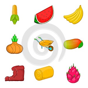 Olericulture icons set, cartoon style photo