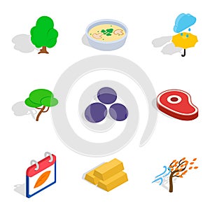 Olericulture icons set, isometric style photo