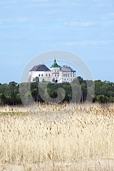 Olesko castle