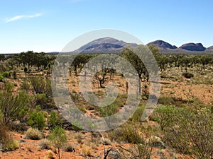 The Olgas and desert vegetation