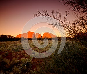 The Olgas Kata Tjuta