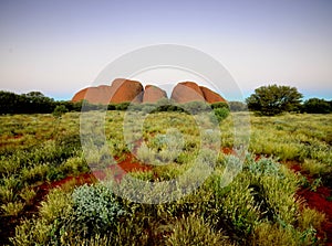 The Olgas Kata Tjuta