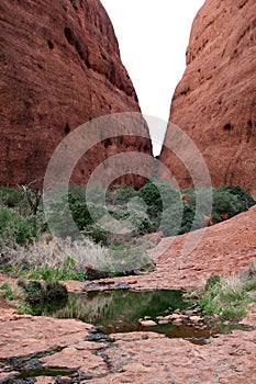 The Olgas - Kata Tjuta - Mount Olga [Docker River Road, Uluru-Kata Tjuta National Park, Northern Territory, Australia, Oceania]