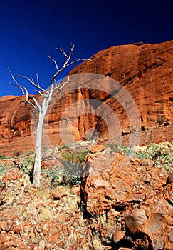 The Olgas, Northern Territory