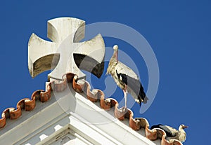 Closeup of a roof with storks nest at church Matriz de Nossa Senhora do Rosario