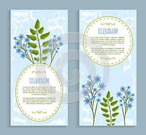 Olibanum Cards Collection Vector Illustration