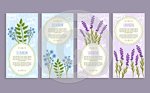 Olibanum and Lavender Cover Vector Illustration
