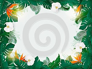 Oliday Background With Exotic Palm Leaves And White Orchids