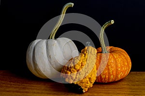 oliday setting two pumkins and gourd