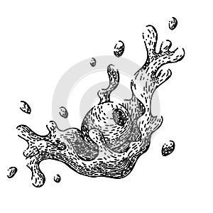 oline oil splash sketch hand drawn vector photo