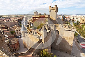 Olite Castle, Navarre