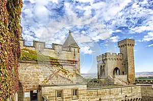Olite Castle, Navarre