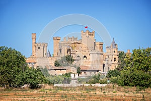 Olite medieval castle in Navarra photo