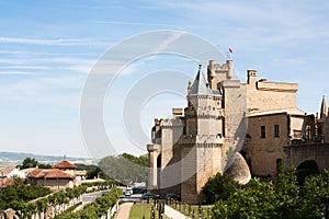 Olite's Castle in Navarra photo