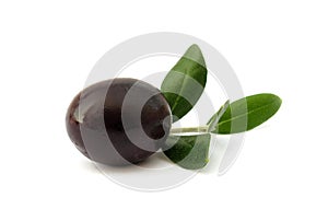Olive black with green leaves