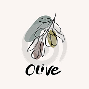 Olive black and white vector hand draw sketch with colored spots. Hand lettering text. Olive icon logo design template.