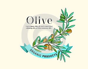 Olive branch with berries label