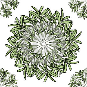 Olive branch big and small mandala seamless pattern. Vector illustration