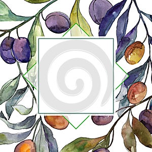 Olive branch with black and green fruit. Watercolor background illustration set. Frame border ornament square.