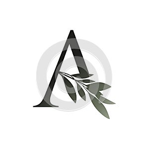Olive branch on capital letter isolated on white background