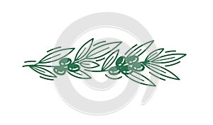 Olive branch floral ornament. Line pattern background. Editable outline stroke. Vector line.