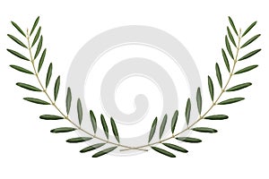 Olive branch, peace symbol on white background