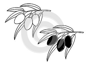 Olive branch in retro style, vector