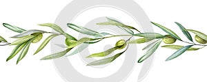 Olive branch seamless border with fruit and leaves watercolor illustration. Green raw organic olive natural decoration