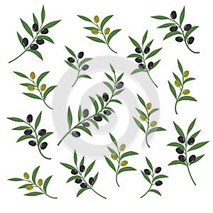 Olive branch set vector illustration. Italian sicilian or greek oil green branches symbols isolated on white background
