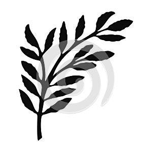 Olive branch silhouette isolated - PNG