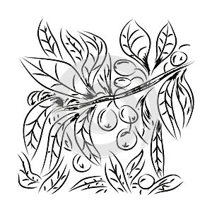 Olive branch sketch engraving vector illustration. Scratch board style imitation. Hand drawn image