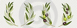 Olive branch wreath with green leaves