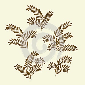 Olive branches