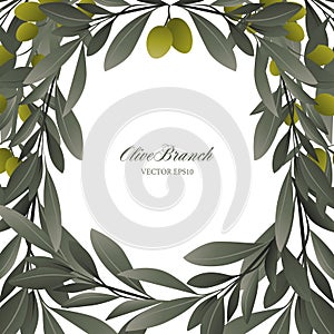 Olive branches and green olives frame on white background.