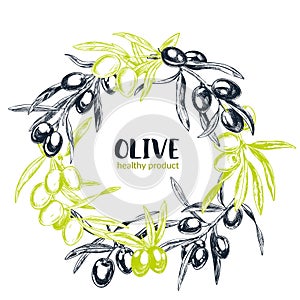 Olive branches, hand drawn retro style vector illustrations.