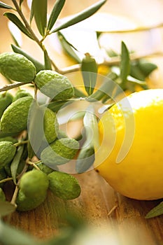 Olive branches with lemon
