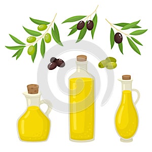 Olive branches and oil glass bottle jug isolated on white
